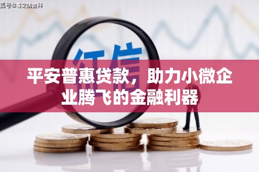 会理平安普惠贷款，助力小微企业腾飞的金融利器