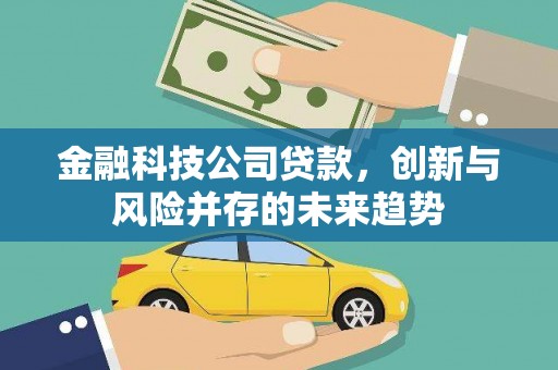 会理金融科技公司贷款，创新与风险并存的未来趋势