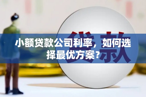 会理小额贷款公司利率，如何选择最优方案？