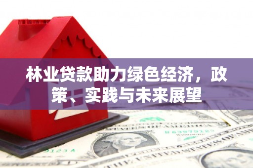 会理林业贷款助力绿色经济，政策、实践与未来展望