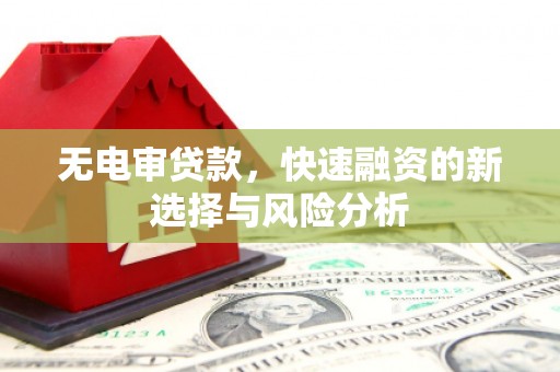 会理无电审贷款，快速融资的新选择与风险分析