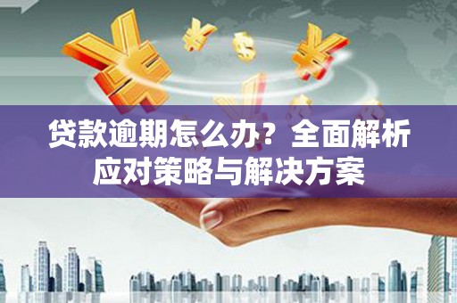 会理贷款逾期怎么办？全面解析应对策略与解决方案