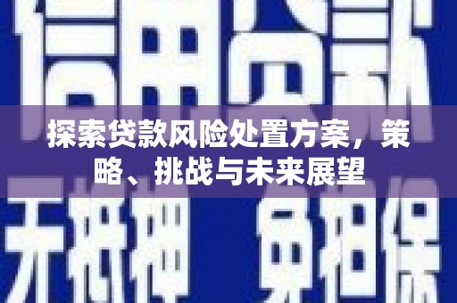 会理探索贷款风险处置方案，策略、挑战与未来展望