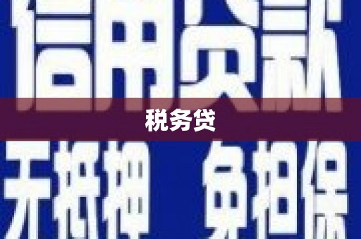 会理税务贷