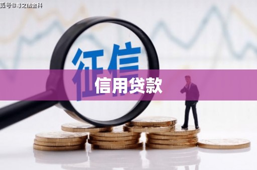 会理信用贷款