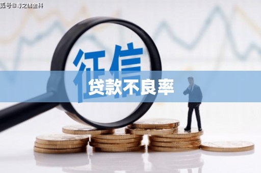 会理贷款不良率