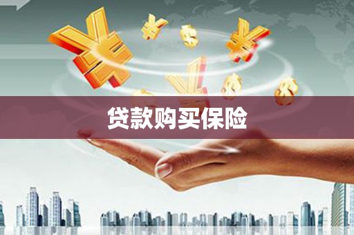 会理贷款购买保险