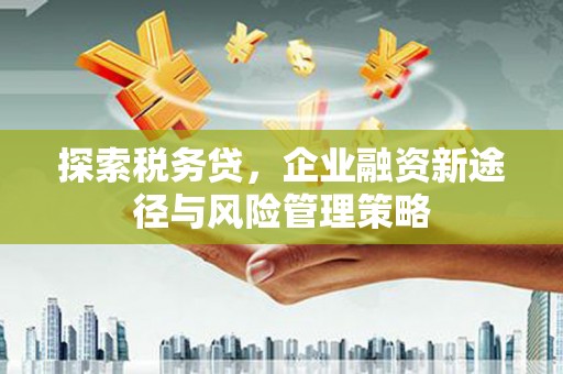会理探索税务贷，企业融资新途径与风险管理策略