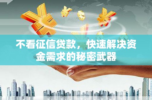 会理不看征信贷款，快速解决资金需求的秘密武器