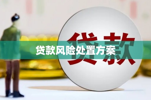 会理贷款风险处置方案