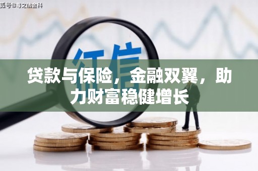 会理贷款与保险，金融双翼，助力财富稳健增长