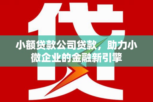 会理小额贷款公司贷款，助力小微企业的金融新引擎