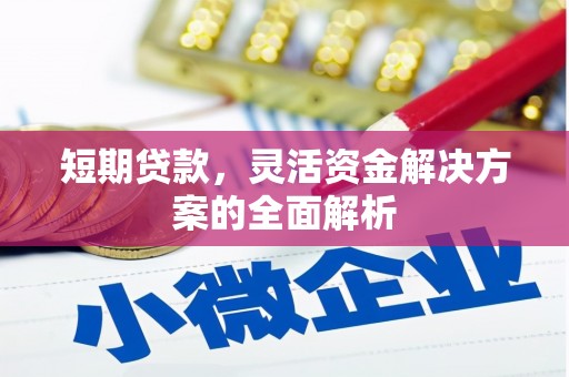 会理短期贷款，灵活资金解决方案的全面解析