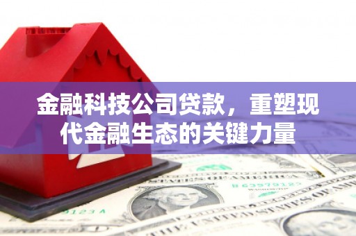 会理金融科技公司贷款，重塑现代金融生态的关键力量