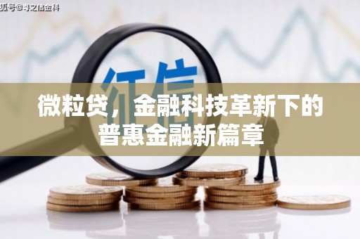会理微粒贷，金融科技革新下的普惠金融新篇章