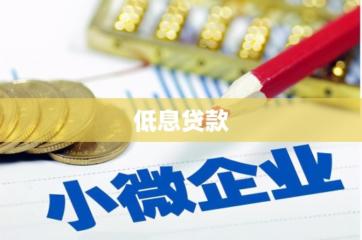 会理低息贷款