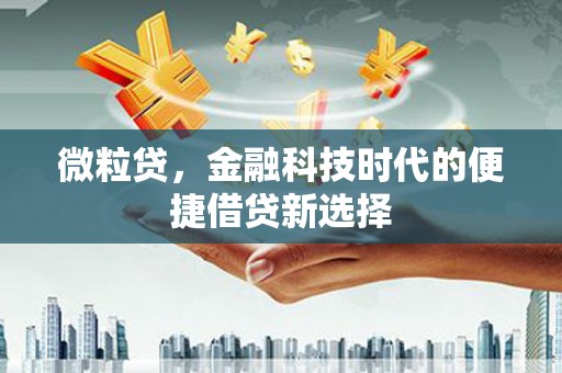 会理微粒贷，金融科技时代的便捷借贷新选择