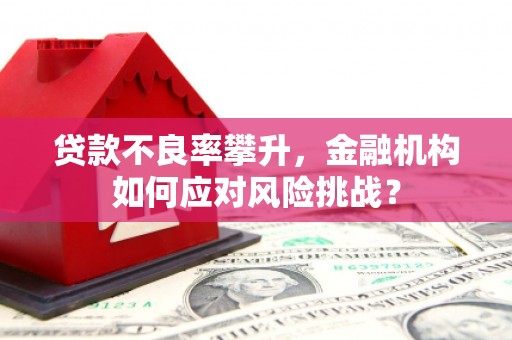 会理贷款不良率攀升，金融机构如何应对风险挑战？
