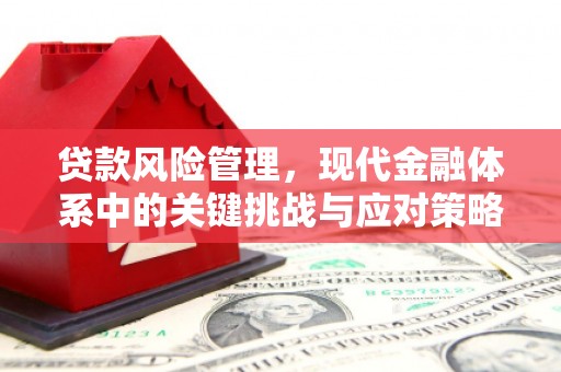 会理贷款风险管理，现代金融体系中的关键挑战与应对策略