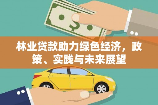 会理林业贷款助力绿色经济，政策、实践与未来展望