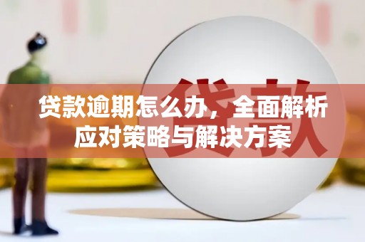 会理贷款逾期怎么办，全面解析应对策略与解决方案