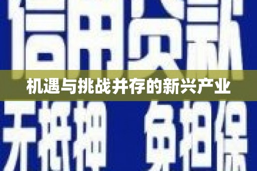 会理机遇与挑战并存的新兴产业