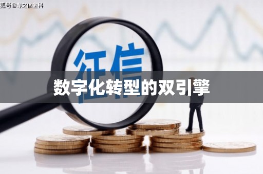 会理数字化转型的双引擎
