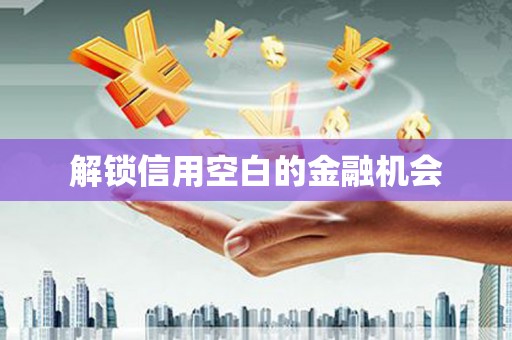 会理解锁信用空白的金融机会