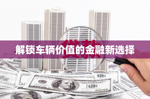 会理解锁车辆价值的金融新选择