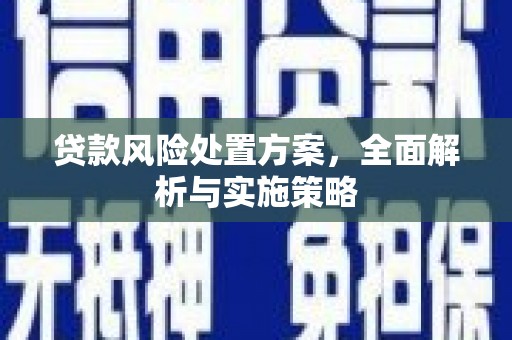 会理贷款风险处置方案，全面解析与实施策略