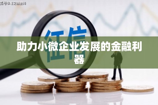 会理助力小微企业发展的金融利器