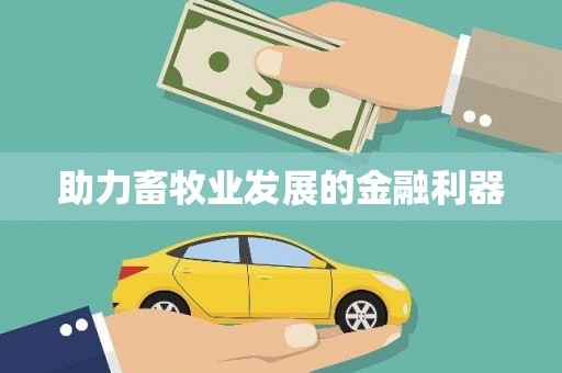 会理助力畜牧业发展的金融利器