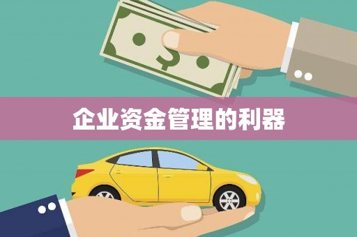 会理企业资金管理的利器