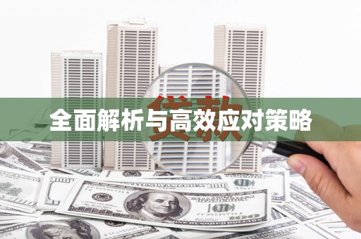 会理全面解析与高效应对策略