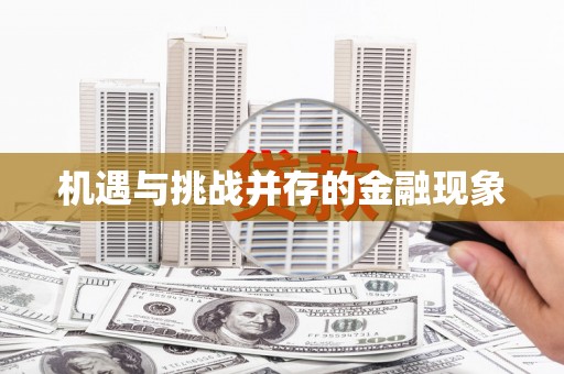 会理机遇与挑战并存的金融现象