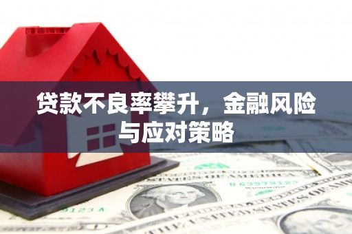 会理贷款不良率攀升，金融风险与应对策略