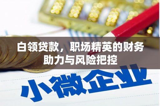 会理白领贷款，职场精英的财务助力与风险把控