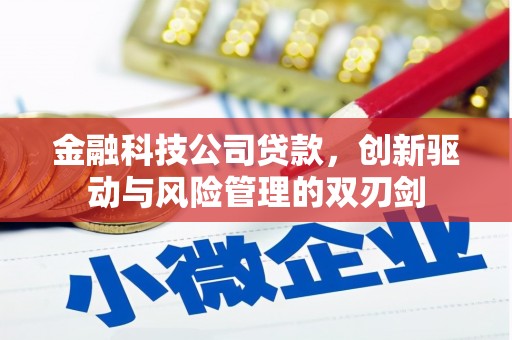 会理金融科技公司贷款，创新驱动与风险管理的双刃剑