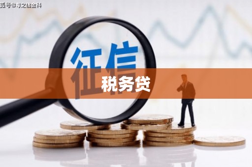 会理税务贷